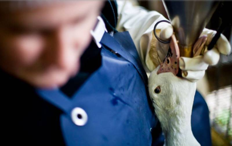 Spanish News Today Editors Roundup Weekly Bulletin May 9