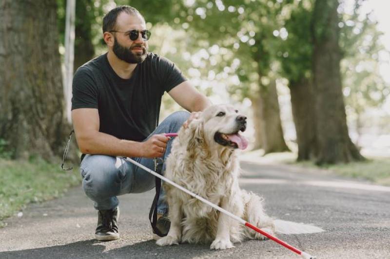 Spanish News Today Editors Roundup Weekly Bulletin May 30