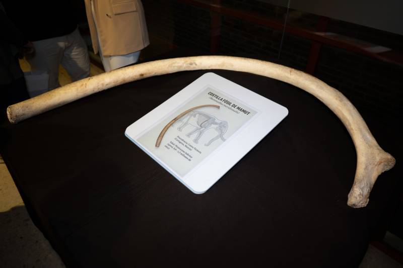 Spanish News Today Editors Roundup Weekly Bulletin June 6