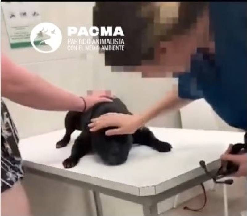 Spanish News Today Editors Roundup Weekly Bulletin June 6