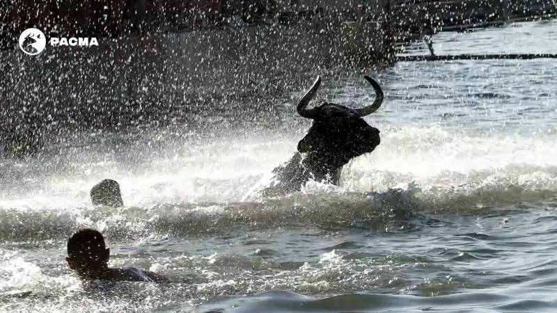 Spanish News Today Editors Roundup Weekly Bulletin June 6