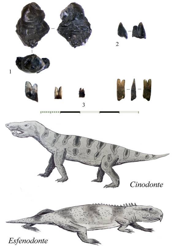 Spanish News Today Editors Roundup Weekly Bulletin June 13