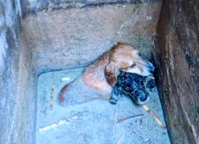 Spanish News Today Editors Roundup Weekly Bulletin June 27