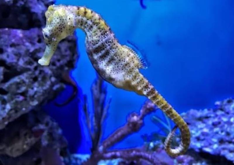 Spanish News Today Editors Roundup Weekly Bulletin July 4