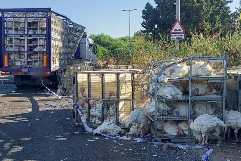 Spanish News Today Editors Roundup Weekly Bulletin July 25