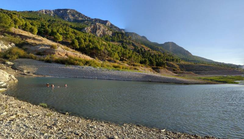 Spanish News Today Editors Roundup Weekly Bulletin Aug 1