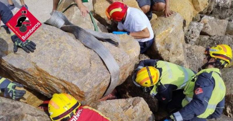 Spanish News Today Editors Roundup Weekly Bulletin Aug 15