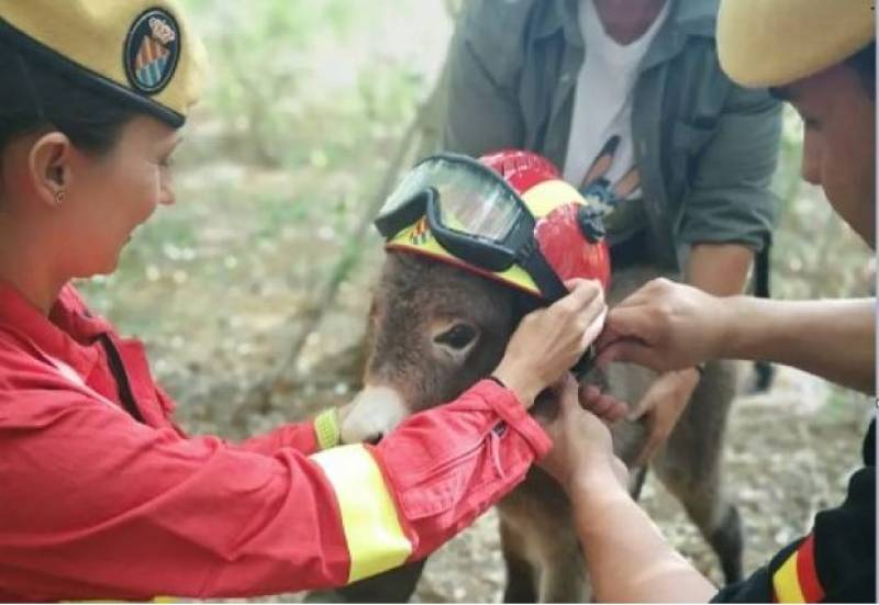 Spanish News Today Editors Roundup Weekly Bulletin Aug 15