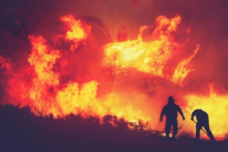 Spanish News Today Editors Roundup Weekly Bulletin Aug 15