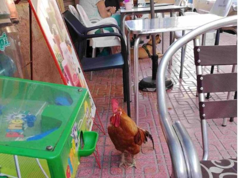 Spanish News Today Editors Roundup Weekly Bulletin Aug 22