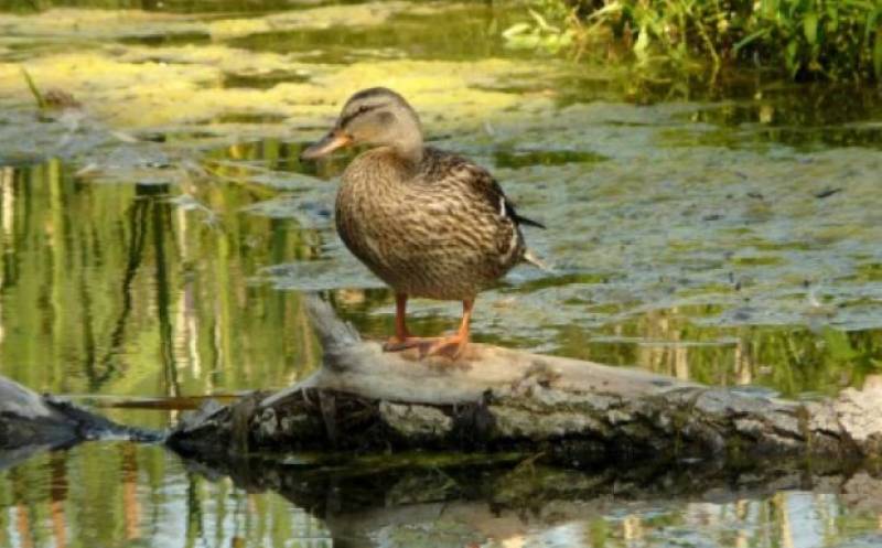 Spanish News Today Editors Roundup Weekly Bulletin Sept 12