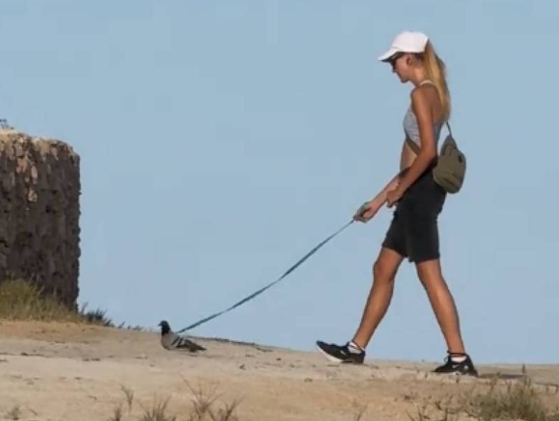 Spanish News Today Editors Roundup Weekly Bulletin Sept 26