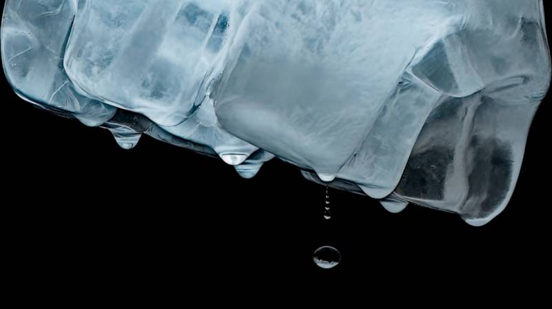 Murcia photo of the month January 2026