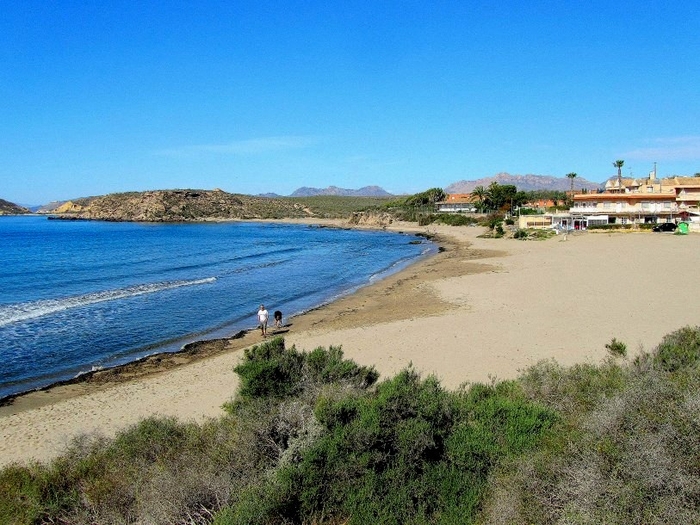 Águilas beaches: Playa Calarreona