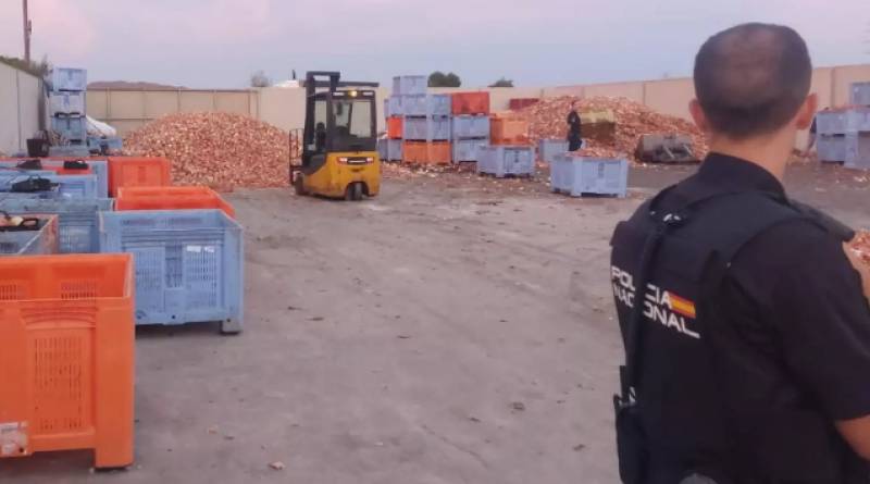 Dozens of Indian and Nepalese migrants rescued from 24-hour working days on Murcia farm