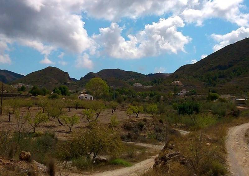 Country cottages and rural properties to let in Lorca