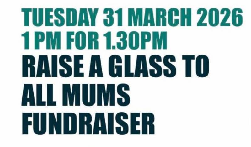 March 31 PAPS fundraiser lunch in Los Urrutias for mums