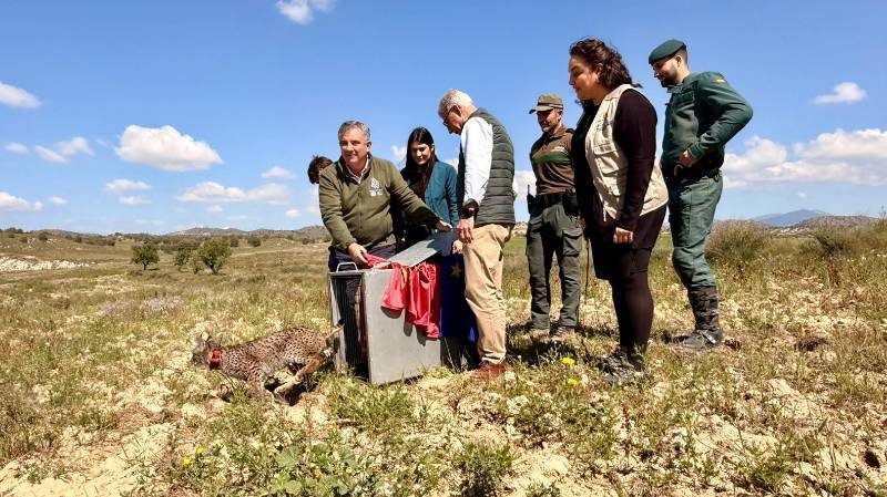 Spanish News Today Editors Roundup Weekly Bulletin March 27