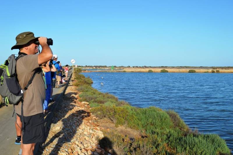 May 31 Free bird-spotting walk in the salt flats of San Pedro del Pinatar