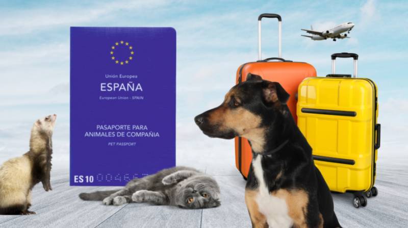 Spanish News Today Editors Roundup Weekly Bulletin April 24