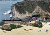 Águilas snorkel guide: Shallow pools and seaweed-loving wrens at La Carolina