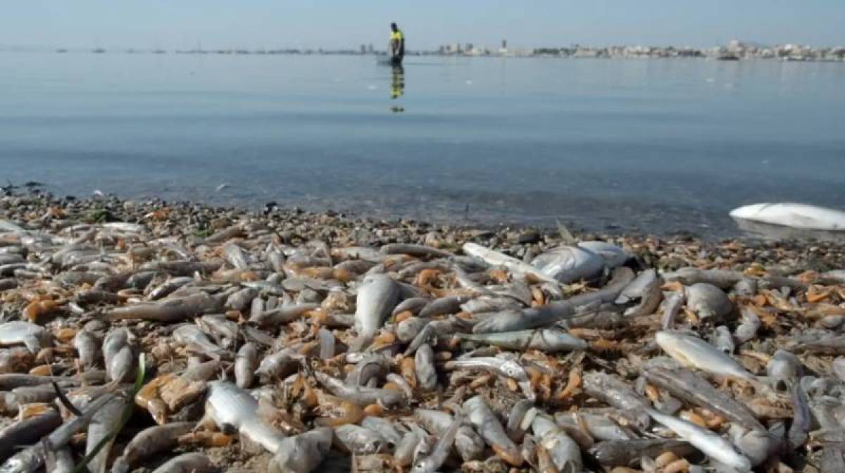 Spain's Black Flag beaches for 2026: The full list from Murcia to the Canary Islands