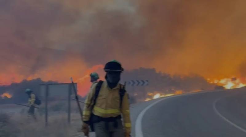 Most Almería wildfire victims were British, authorities now believe