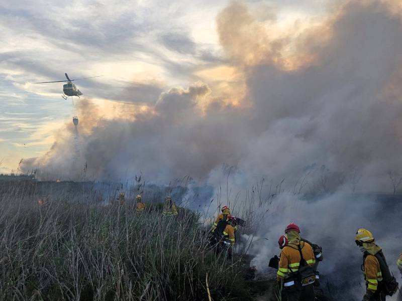 Extreme wildfire risk sees Murcia close forests and tighten restrictions
