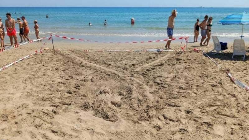 Lorca beaches protect loggerhead turtle nesting sites