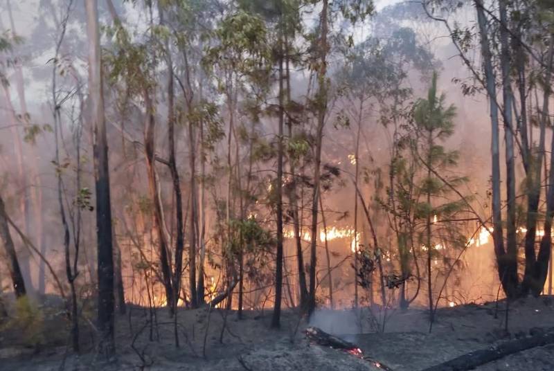 More than 600 personnel battling the Niebla wildfire as unpredictable winds keep firefighters on the back foot