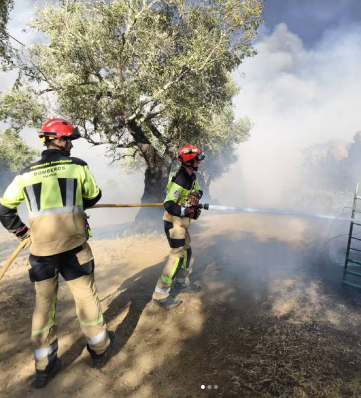 More than 600 personnel battling the Niebla wildfire as unpredictable winds keep firefighters on the back foot