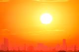 26/08/1000273048__11787049173_large.jpg
