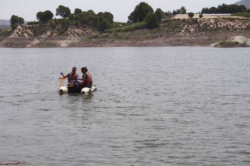 Segura basin starts new hydrological year with reservoirs more than half full
