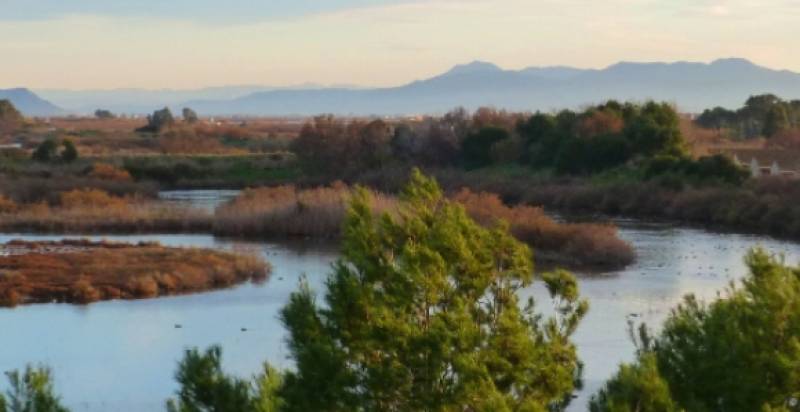 Alicante’s natural parks enjoy a bumper summer