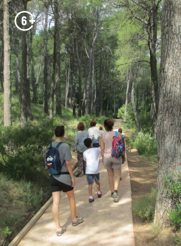October 18 Free family walk in the forest of Sierra Espuña