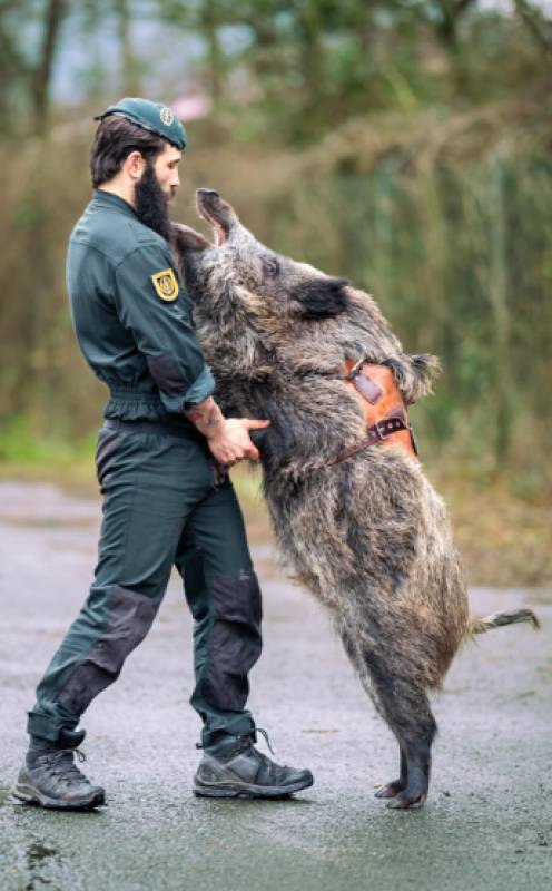 Guardia Civil welcomes its newest four-legged recruit