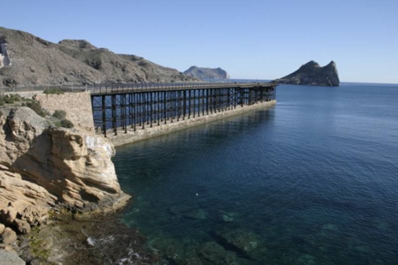 November 21 Free guided walk on the Tres Bahías Blue Trail in Aguilas