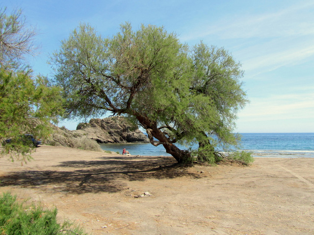 Águilas beaches: Playa del Arroz 