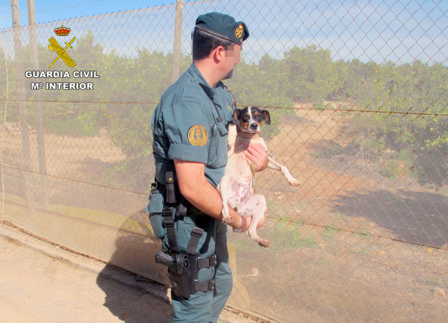 <span style='color:#780948'>ARCHIVED</span> - New Murcia animal rights law affects pet owners in the Region