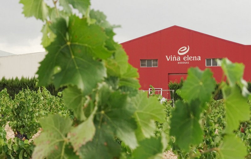 Jumilla wine route, Bodegas Viña Elena