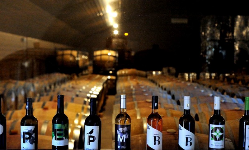 Jumilla wine route, Bodegas Pio del Ramo