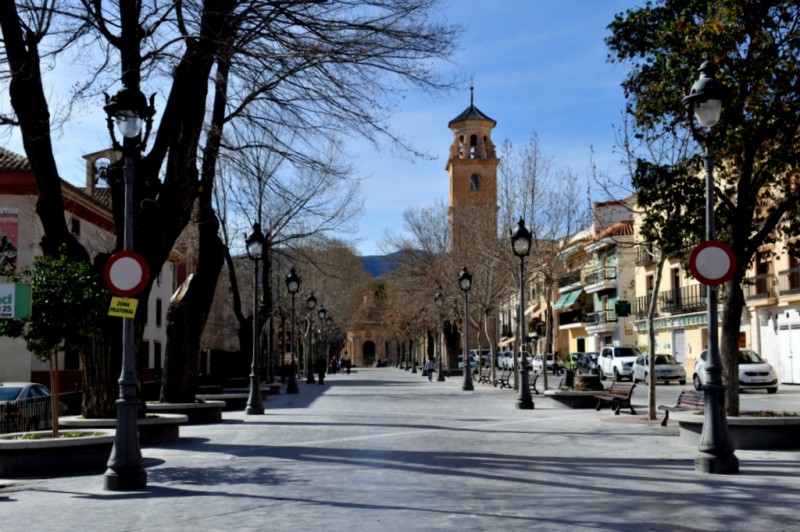 The Glorieta or Calle Corredera, the main tree-lined avenue in Caravaca de la Cruz