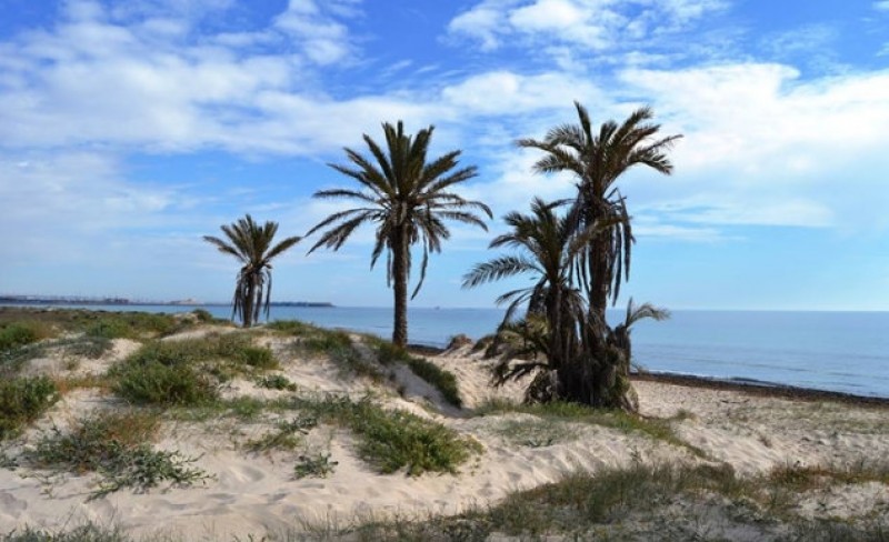 San Pedro del Pinatar set to ban beach nudism