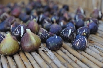 Feast on figs this week