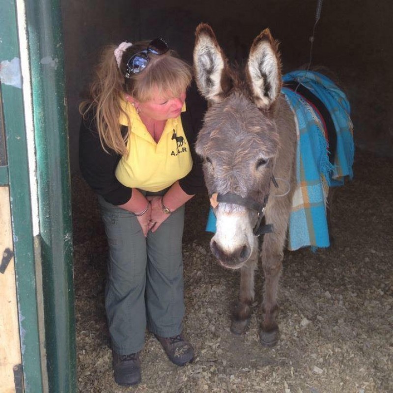 Andreas Animal Rescue and the Henrietta Foundation, Mazarrón and Roldan