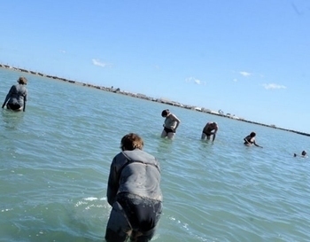 Basic Visitor information for San Pedro del Pinatar