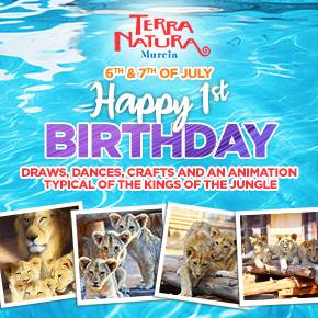 Terra Natura Happy Birthday