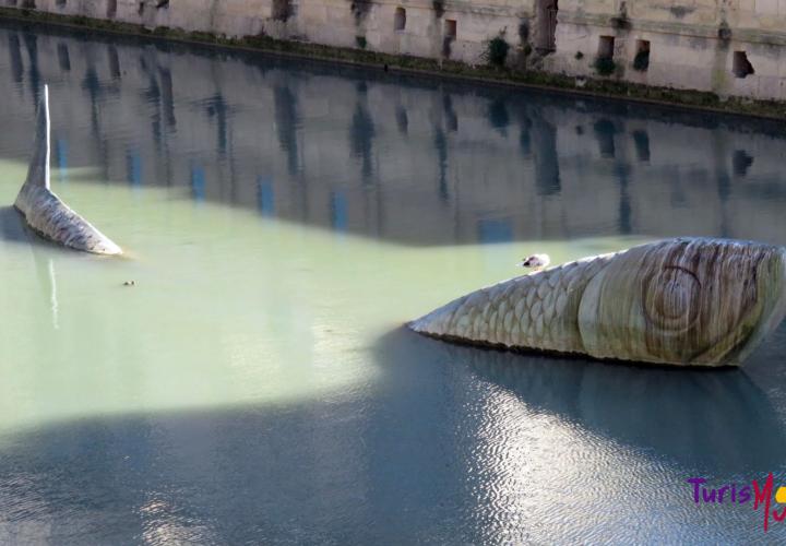 La sardina en el río Segura  (España)